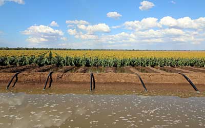 Farm Consultant for CROP PRODUCTION